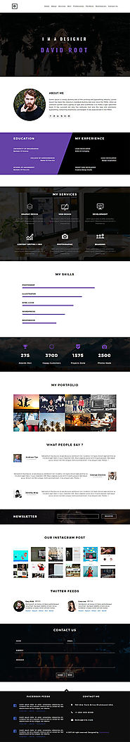 David Root - Web Designer Portfolio Website Template