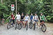 Cycling Tours - Nature Sightseeing