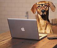 PC TV Computer Screen Protection Glasses