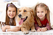 Caring for Pets Can Make Your Child a Better Person