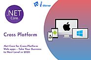 i-Verve Inc - ASP.NET Development Company In New Jersey