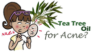 Tea Tree Oil: The Simple Pimple Remedy For Getting Rid of Acne