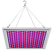 Emasun 150W LED Grow Light 289 LEDs Red Blue Indoor Plant Grow Lamp Bulb for Seedling Veg and Flower