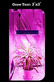 Top 10 Best Bloom Flower Booster LED Grow Lights Reviews 2017-2018 on Flipboard