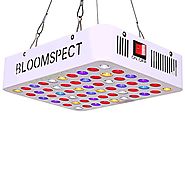 BLOOMSPECT 300W LED Grow Light for Indoor Greenhouse Hydroponic Plants Veg Bloom Flowering