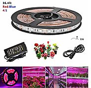 Topled Light® LED Plant Grow Strip Light with Power Adapter,Full Spectrum SMD 5050 Red Blue 4:1 Rope Light for Aquari...