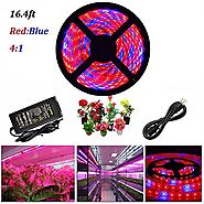 ABelle LED Strip Light Plant Grow Lights 16.4ft 5050 SMD Waterproof Full Spectrum Red Blue 4:1 Growing Lamp for Aquar...