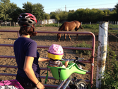 biking with kids: the bike trailer vs the ibert seat " Simply Bike