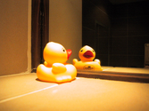 Adorable Rubber Ducky Shower Curtains - Cute Ideas!