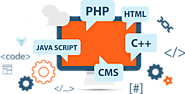 The growing base of web development in India - Digital Marketing Services
