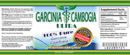Garcinia Cambogia Extract?