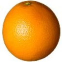 Orange Girl (@orangegirlnz)
