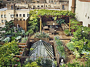 30 Rooftop Garden Design Ideas Adding Freshness to Your Urban Home - Freshome.com