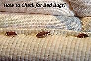 How to Check For Bed Bugs? - How to Tell If You Have Bed Bugs?