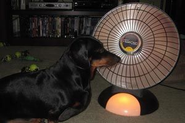 Do Space Heaters Save Money and Energy?