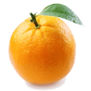 Improve Your Health Today And Get Started Juicing! -PRIME Juicers