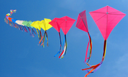 Best Kites For Kids Reviews and Ratings