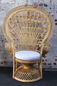 From Egypt to the American Patio: A History of Wicker Furniture