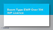 Boom Type EWP Over 11M WP Licence