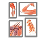 Arthritis, Musculoskeletal and Skin Diseases Home Page