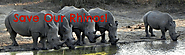 saveourrhinos - home