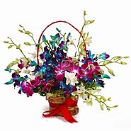 Send Colorful Fifteen Orchids Arrangement Same Day Delivery - OyeGifts