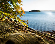 Kursuscenter i Kolding | Kursuscenter i Kolding - Middelfart, Vejle, Fredericia