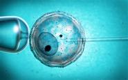 Scientists discover how sperm and egg bind of the Koyal Group Info Mag News