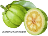 Is Garcinia Cambogia Walmart Right for You?