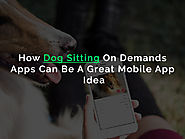 A new Startup Category: On-Demand Dog Sitting App For Busy Dog Owners