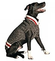 Top 10 Best Dog Sweaters in 2018 - Buyer's Guide (February. 2018)