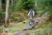 MBWales - Coed-y-Brenin Mountain Bike Centre - Advice & Guides at MBWales.com