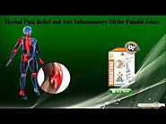 Herbal Pain Relief and Anti Inflammatory Oil for Painful Joints
