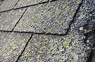If the shingles are covered with moss or algae.