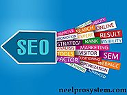 NeelPro System provides complete Digital Marketing and SEO Services