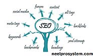 NeelPro System provides best and effective Digital Marketing and SEO Services