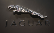 Jaguar - Easy Shop Value