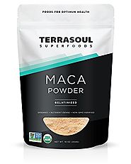 Terrasoul Superfoods Organic Gelatinized Maca Powder, 16 Ounce