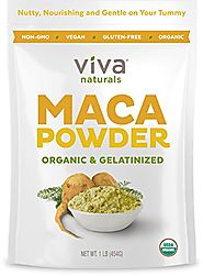 Viva Naturals Organic Maca Powder, Gelatinized for Enhanced Bioavailability, Non-GMO, 1lb Bag