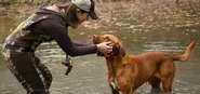 Hunting Dogs Equipment and Accessories: Modern GPS Pet Tracking Systems