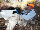 Dove Hunts: How To Answer the "Can I Bring My Dog?" Question