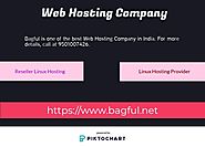 Web Hosting Company in India