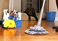 Professional & Reliable Domestic Cleaning Services in Bristol
