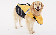 Why Your Dog Might Need a Life Preserver - BarkForce
