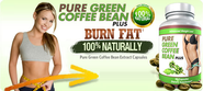 Green Coffee Bean Extract Australia with No Diet