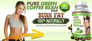 Pure Green Coffee Bean Extract for Weight loss