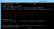 posh-git: A PowerShell environment for Git
