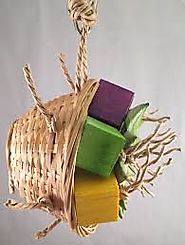 Products for Pet Birds