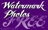 Top 10! Free Watermark Software & Sites to Watermark Online