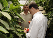 Nuevo Software ayuda a incrementar la producción Agricola